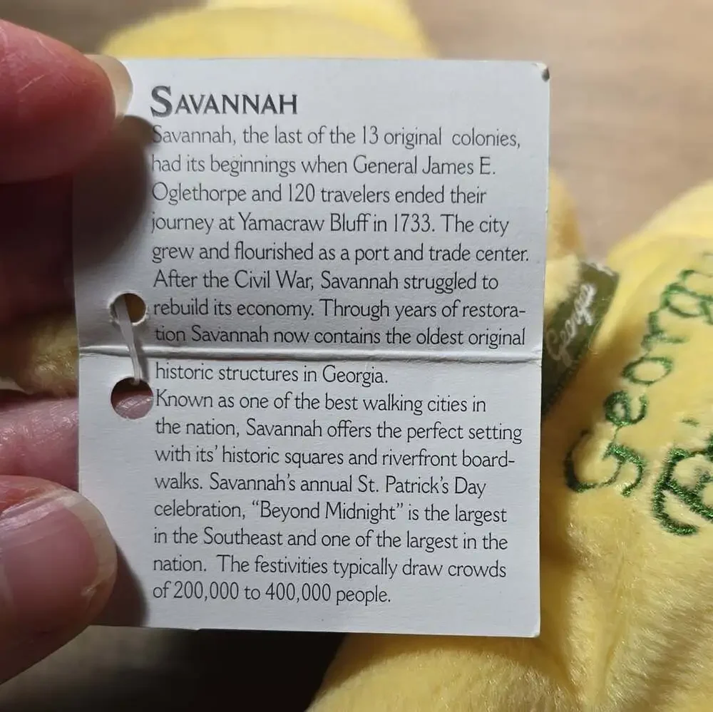 Vintage 2003 SAVANNAH, GEORGIA Symbolz Bear 8